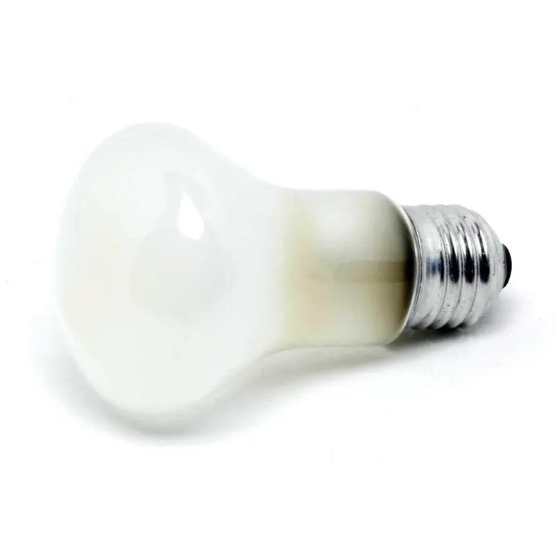 Elinchrom 100w Tungsten Modelling Bulb