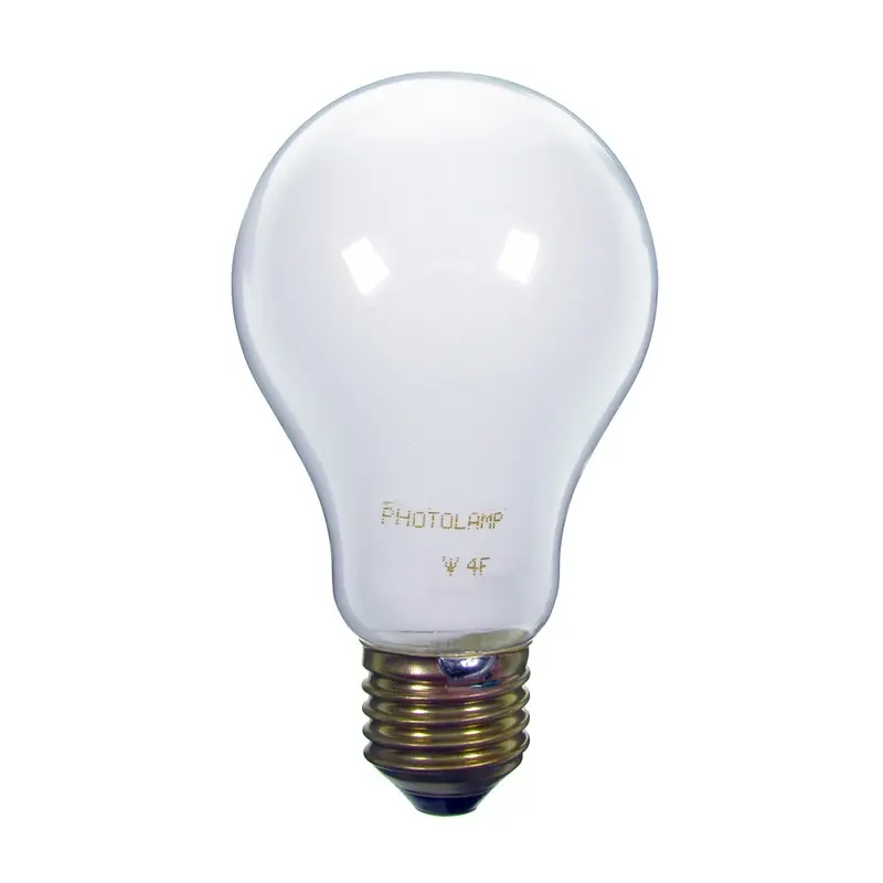 P3/3 ES 240v 75w Bulb