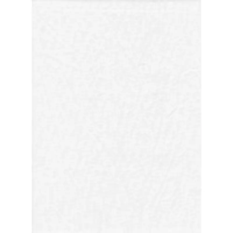 Promaster 10x12 Poly Cotton White Backdrop