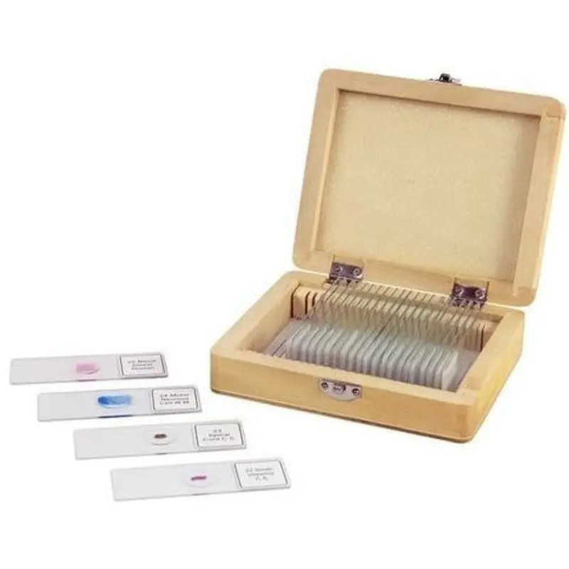 Celestron Prepared Slides Box 25