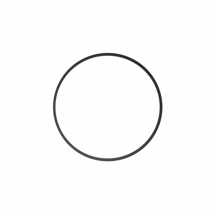 Ikelite O-Ring 0124 for C-Light 8