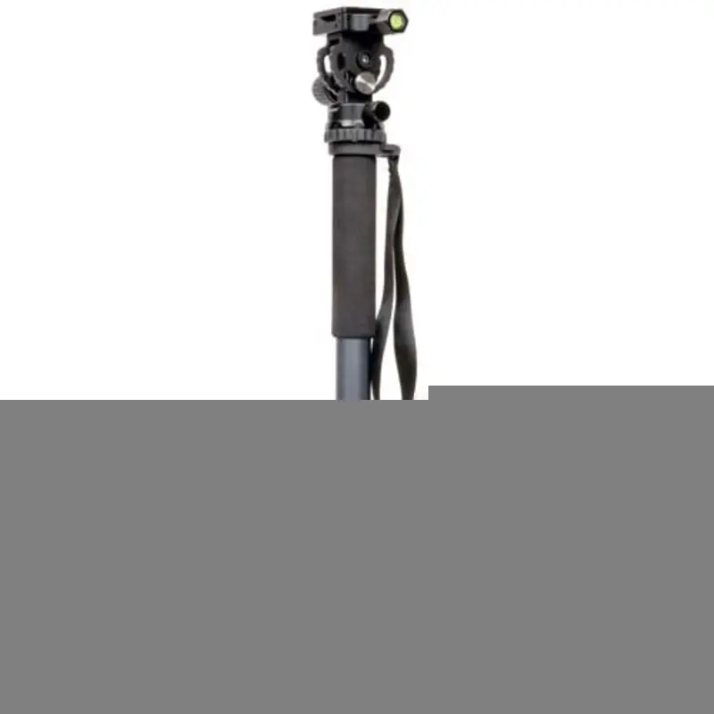 ProMaster Professional MPH528 Aluminum Monopod with Head