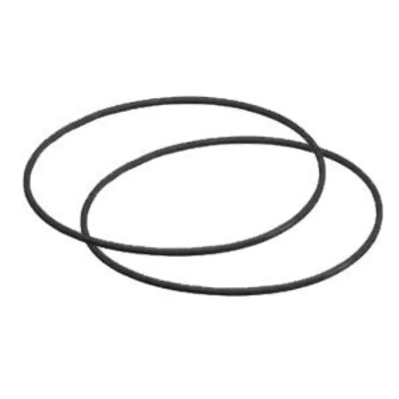 Olympus O-Ring (2-pk) PT001 / 002