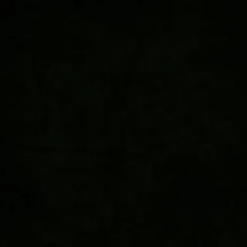 Studio-Assets Muslin 10'x12' - Black