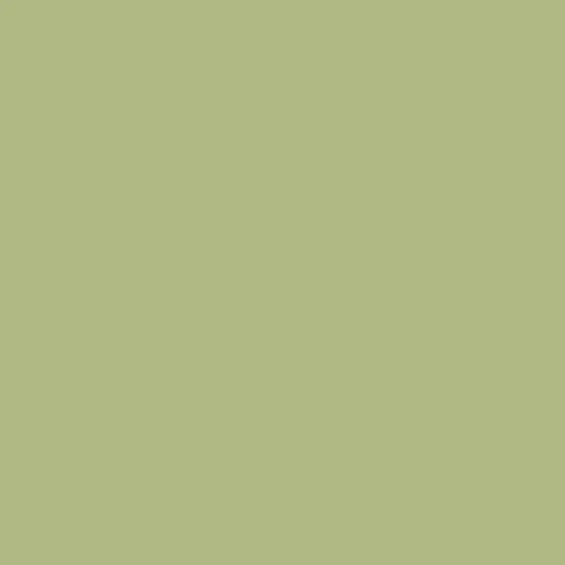 Superior Seamless Paper 53" x 36ft - Tropical Green