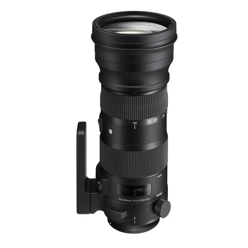 Sigma 150-600mm F5-6.3 SPORTS DG OS HSM (Sigma)