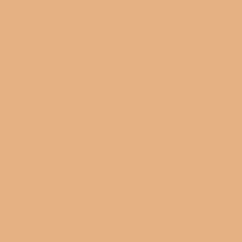 Superior Seamless Paper 53" x 36ft - Pongee