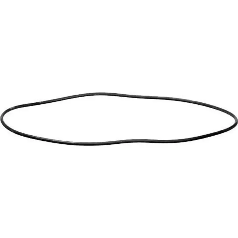 Ikelite O-Ring for the Video Housings DC572 & DC200