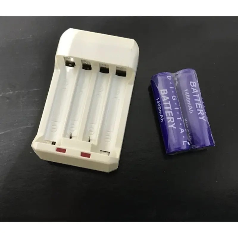 Rokinon Worldwide 110v-220v Charger with AA Rechargeable Batteries - BC-2