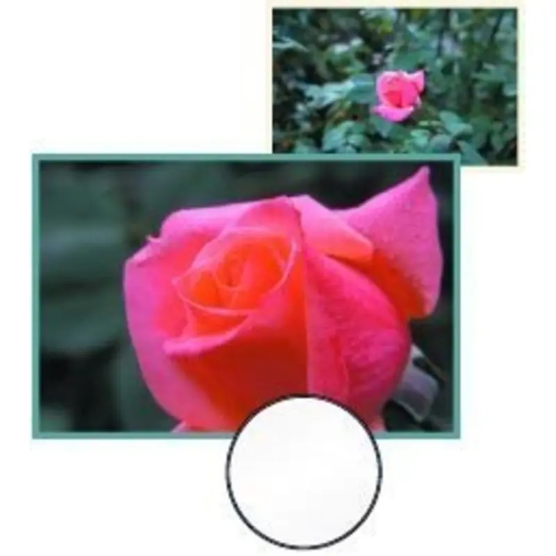 Sunpak 55mm Close-Up Set (+1 +2 +4 Diopters)