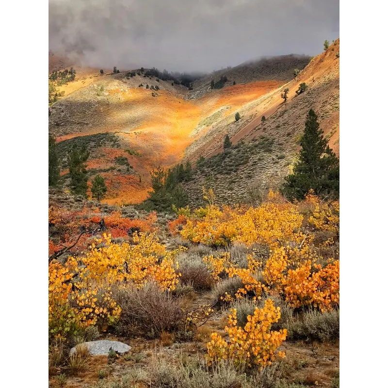Camera West 2025 Hwy 395 Workshop Sept 28-Oct 03