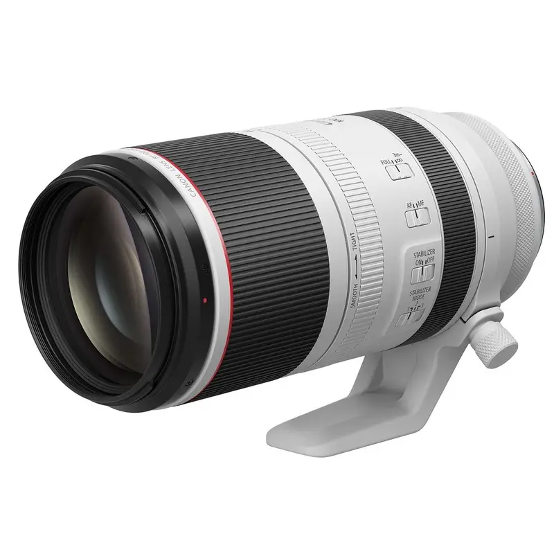 Canon RF 100-500mm f4.5-7.1 IS USM
