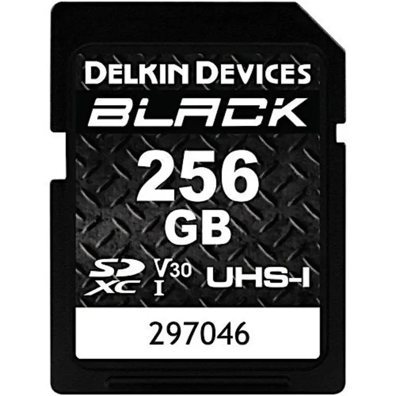 Delkin 256GB SD UHS-I Black