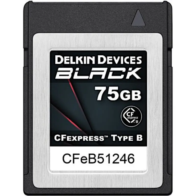 Delkin 75GB CF Express Type B