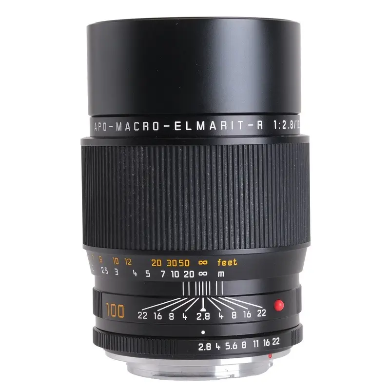 Leica 100mm f2.8 Apo Macro Elmarit-R 3654425