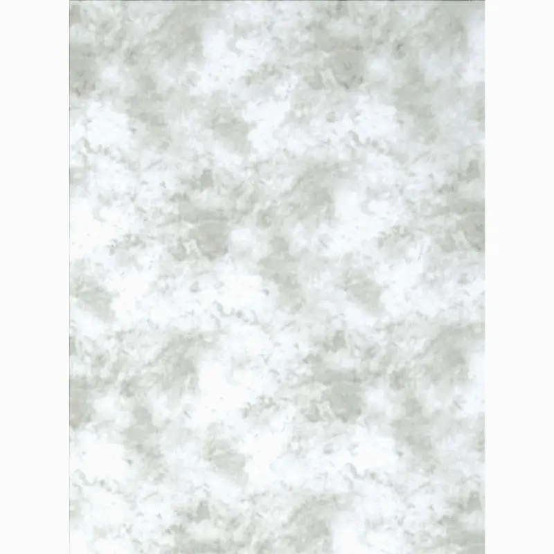 Promaster Cloud Dyed Backdrop 10 x 20 - Light Gray