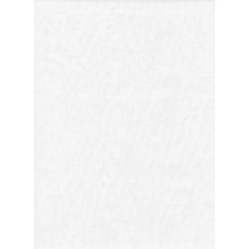 Promaster Solid Backdrop 10x12 - White