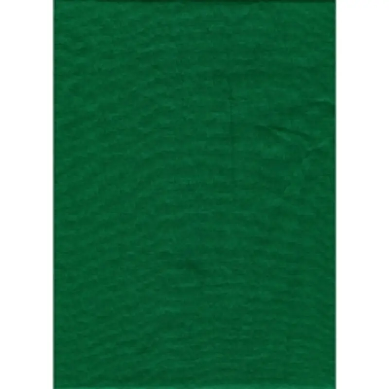 Promaster Solid Backdrop 10x20 - Chromakey Green