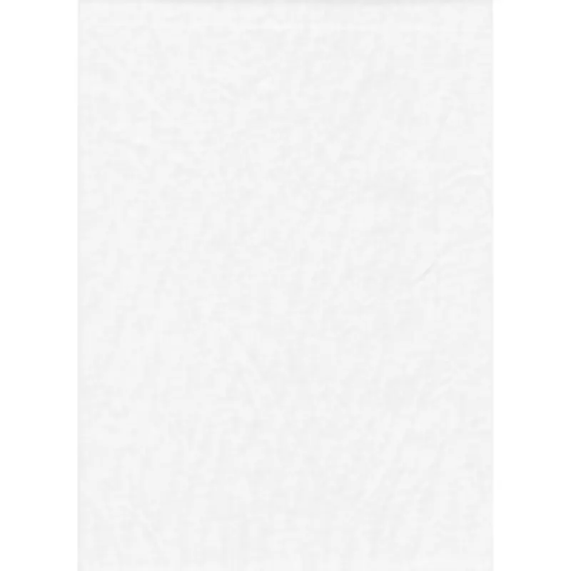 Promaster Solid Backdrop 6 x 10 - White