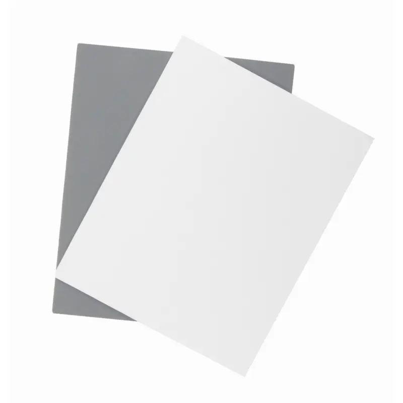 Promaster Digital Exposure Card 8x10 2 Pack