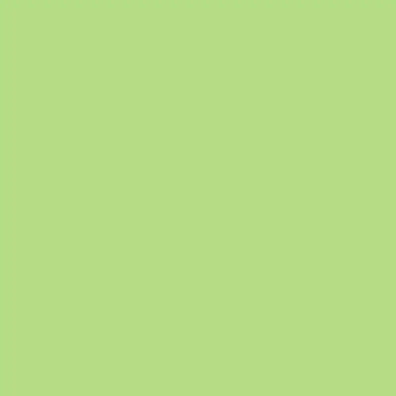 Rosco Cinegel #3304 Filter 20 x 24" Sheet (Tough Plusgreen)