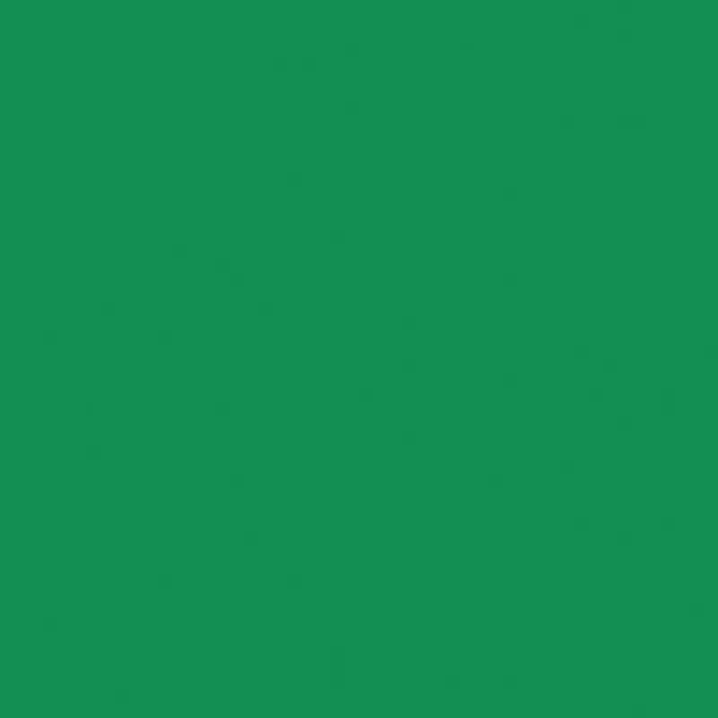 Rosco Roscolux #89 Filter 20 x 24" Sheet (Moss Green)