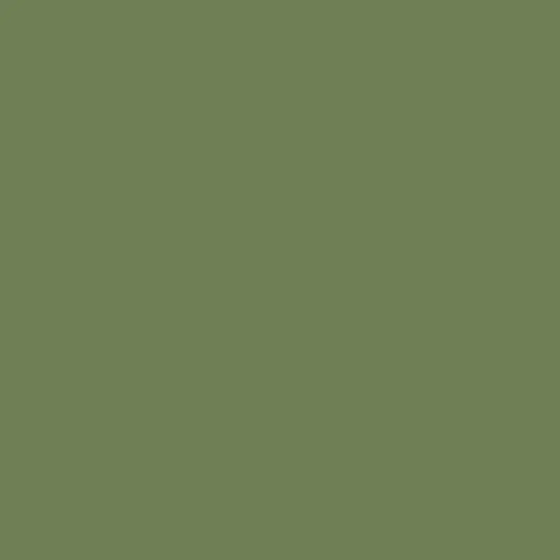Rosco Cinegel #3315 Filter 20 x 24" Sheet (Tough 1/2 Plusgreen)