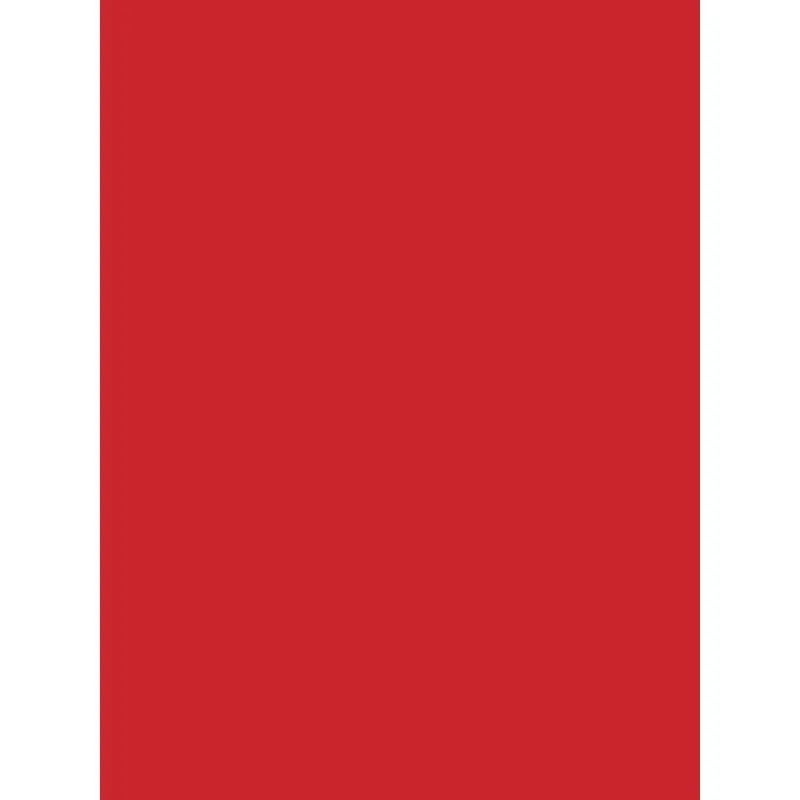 Savage Widetone Seamless Background Paper (Primary Red, 53" x 36)