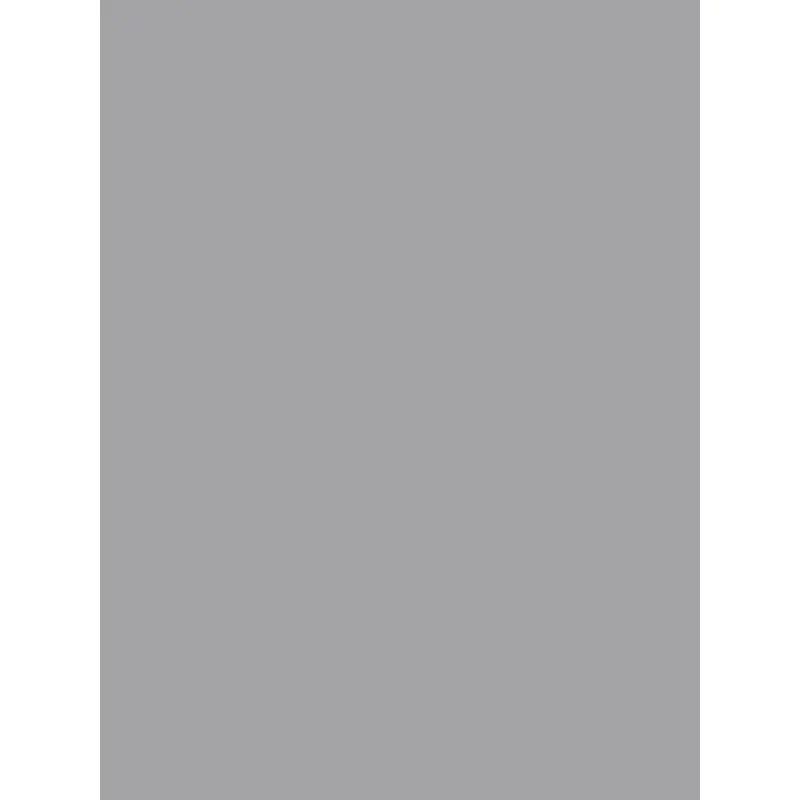 Savage Widetone Seamless Background Paper (Stone Gray 53" x 36' )