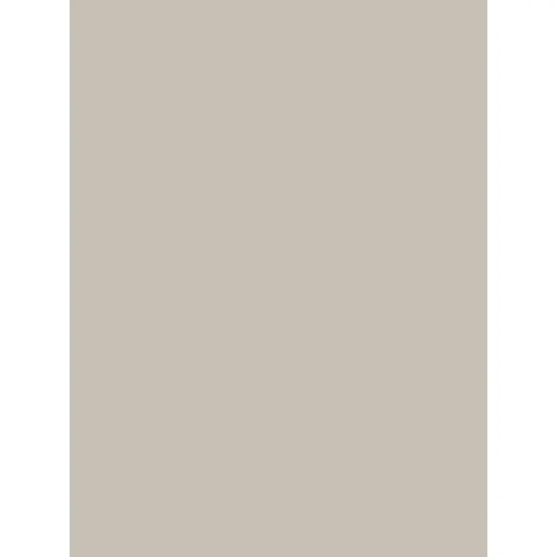 Savage Widetone Seamless Background Paper (Studio Gray, 53" x 36)
