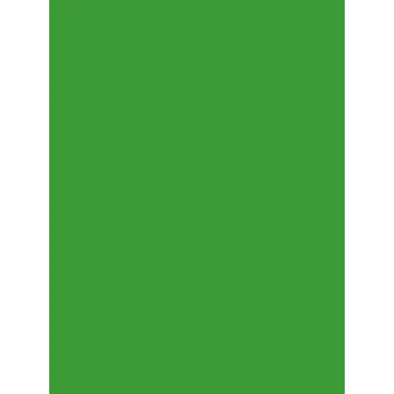 Savage Widetone Seamless Background Paper (Tech Green, 107" x 36')