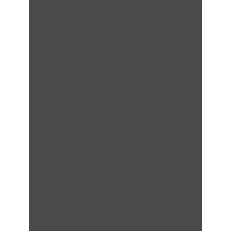 Savage Widetone Seamless Background Paper (Thunder Gray, 107" x 36)