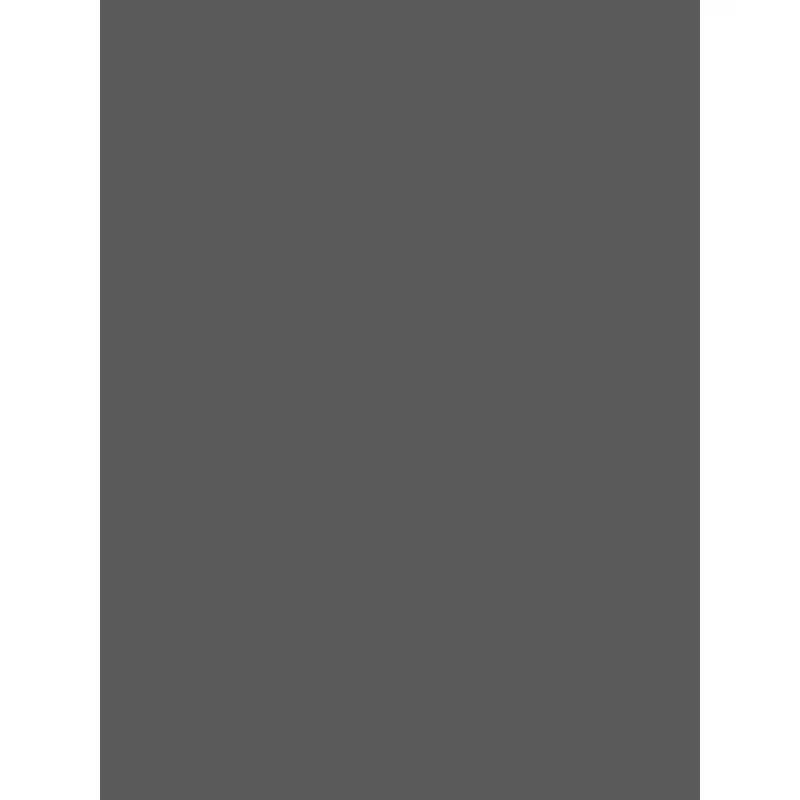 Savage Widetone Seamless Background Paper (Thunder Gray, 53" x 36)