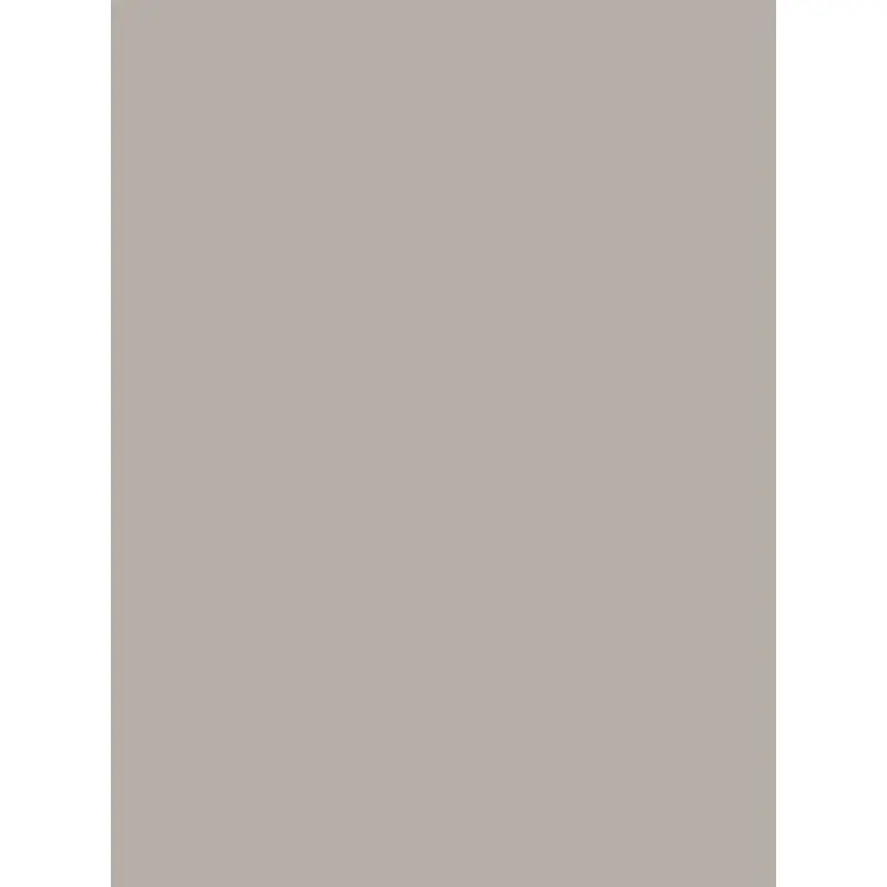 Savage Widetone Seamless Background Paper (TV Gray, 53" x 36)