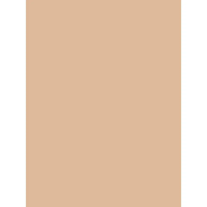 Savage Widetone Seamless Background Paper (Beige, 53" x 36)