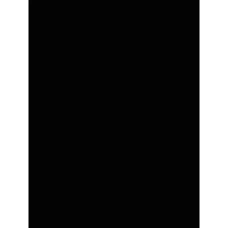 Savage Widetone Seamless Background Paper (Black, 53" x 36)