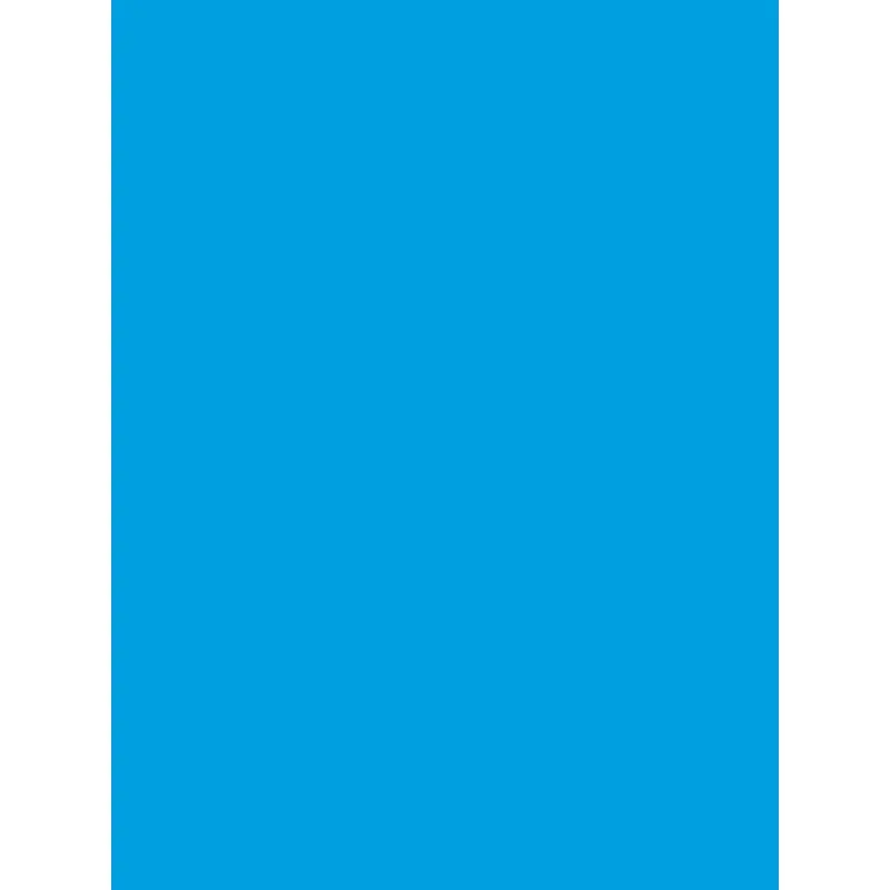 Savage Widetone Seamless Background Paper (Blue Jay, 53" x 36)