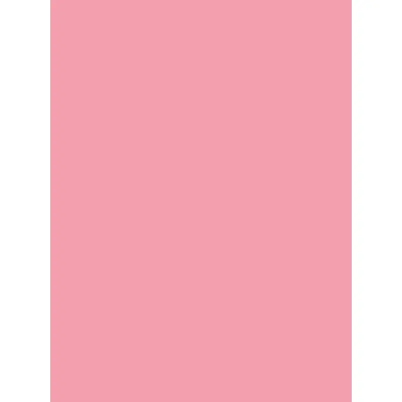 Savage Widetone Seamless Background Paper (Coral, 107" x 36)