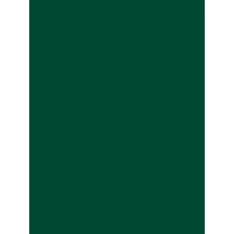 Savage Widetone Seamless Background Paper (Evergreen, 53" x 36)