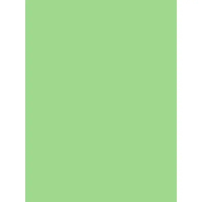 Savage Widetone Seamless Background Paper (Mint Green, 53" x 36)