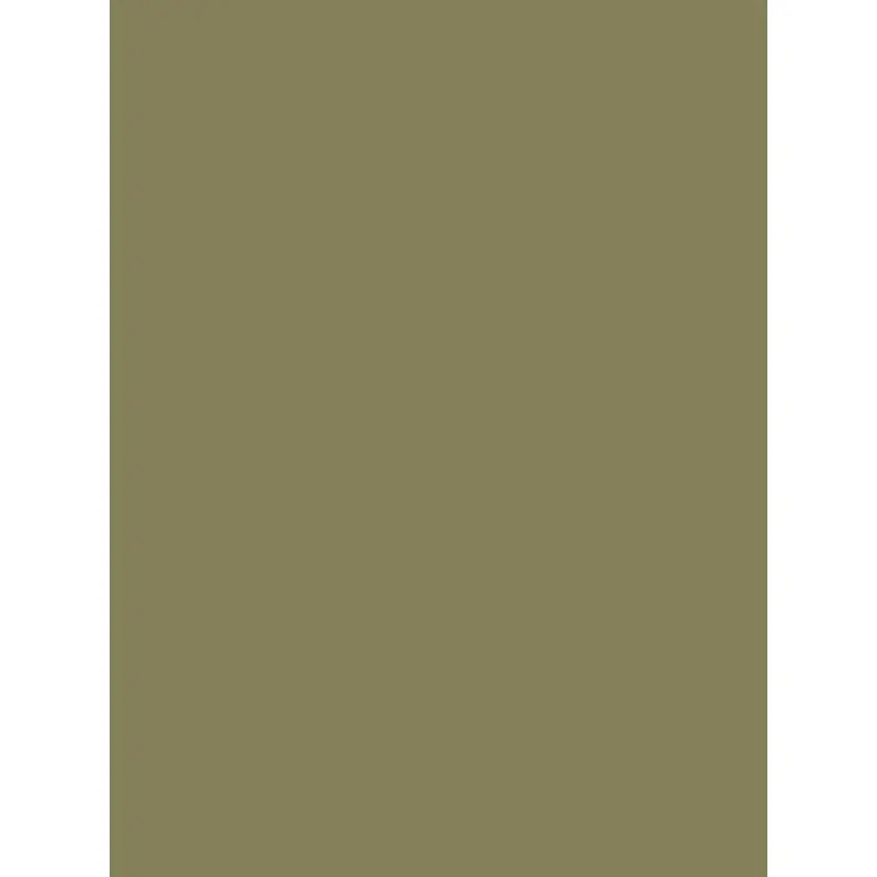 Savage Widetone Seamless Background Paper (Olive Green, 53" x 36)