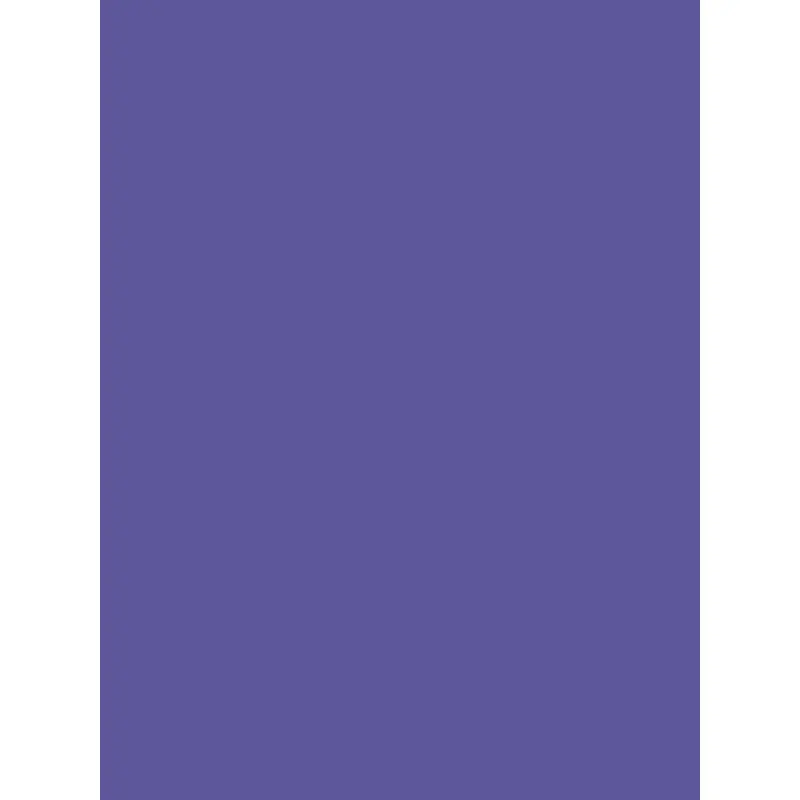 Savage Widetone Seamless Background Paper (Purple, 107" x 36)