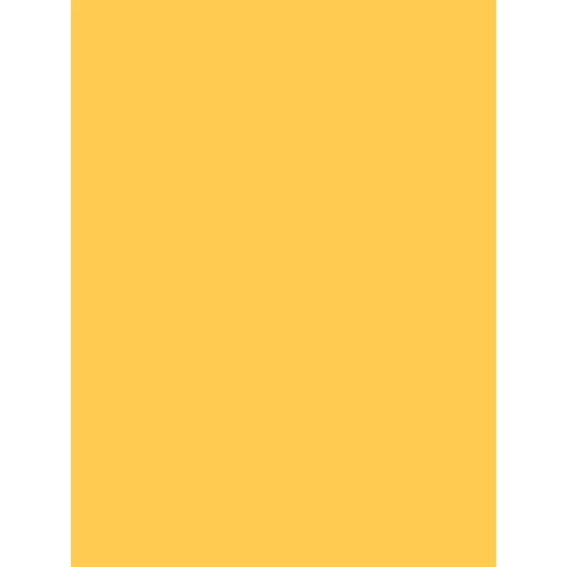 Savage Widetone Seamless Background Paper (Sand 86X12yds)
