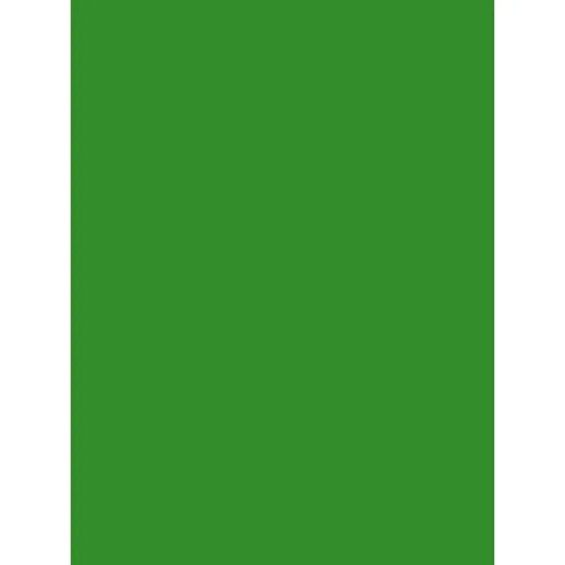 Savage Widetone Seamless Background Paper (Tech Green 86X12yds)