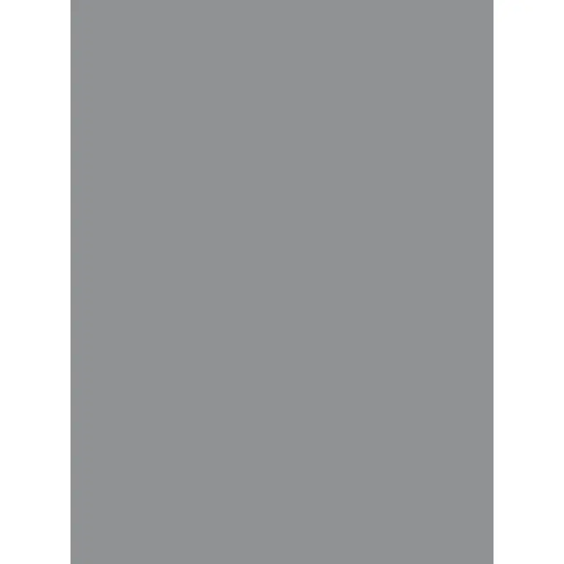 Savage Widetone Seamless Background Paper (Fashion Gray, 53" x 36)