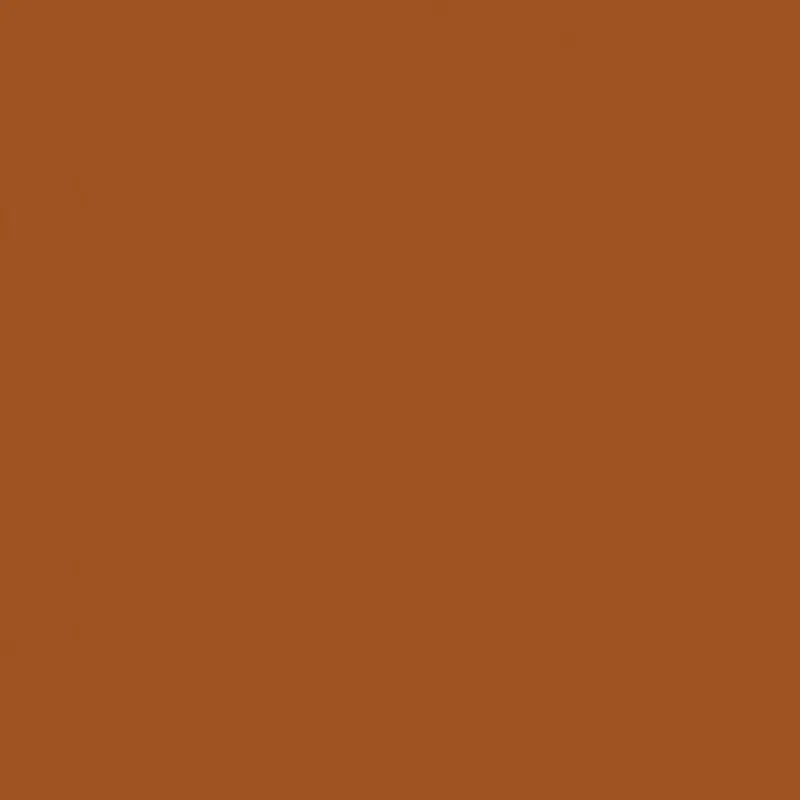 Savage Widetone Seamless Background Paper (Sienna 53" x 36)