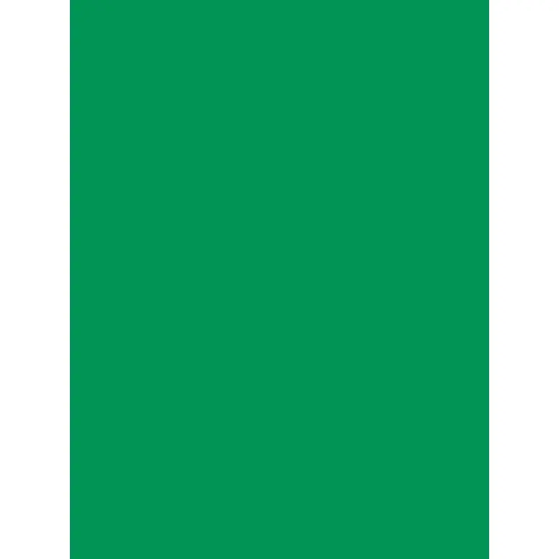Savage Widetone Seamless Background Paper (Holly, 53" x 36)
