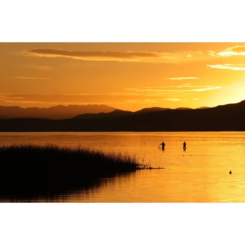 Fishing Gold - Utah Lake