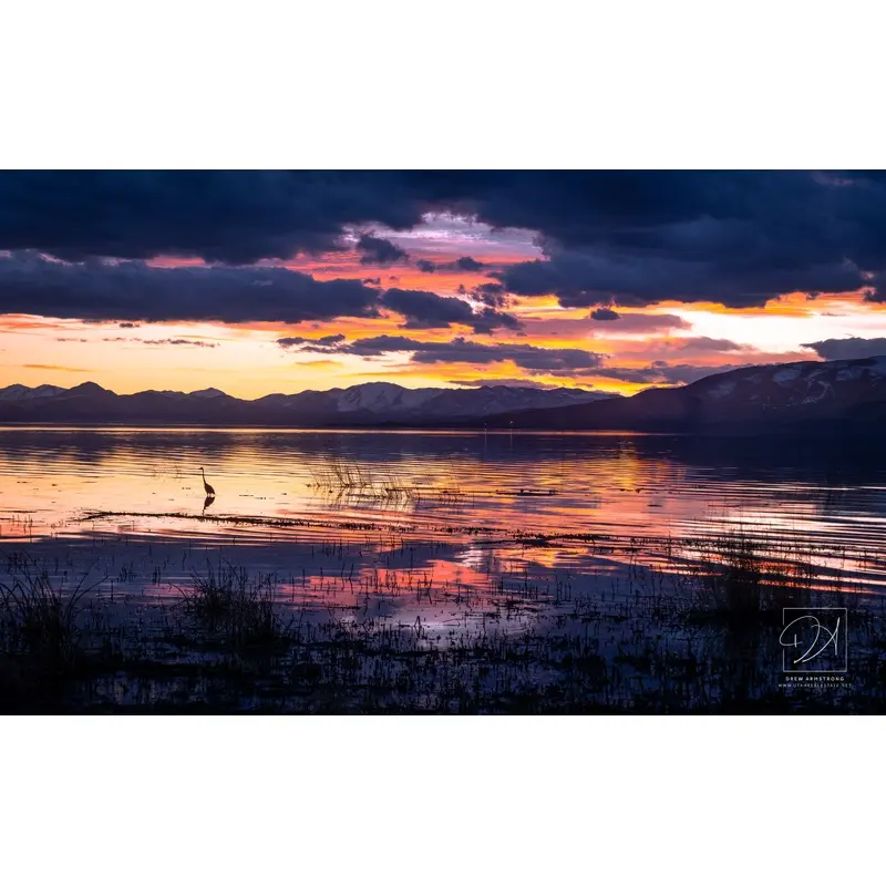 Heron in the Clouds - Utah Lake