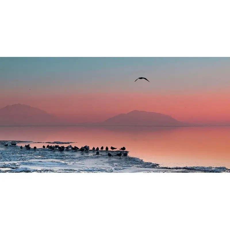 Icy Bird Retreat - Utah Lake